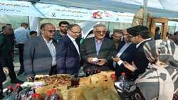 جشنواره سیب سمیرم فرصتی برای تکمیل زنجیره ارزش و توسعه صنایع تبدیلی است